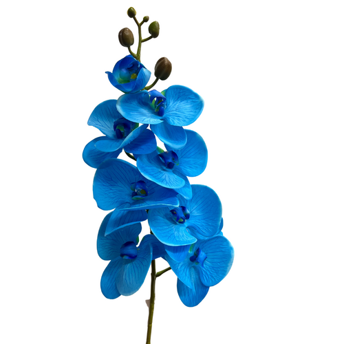 Real Touch Phalaenopsis Orchid S3829-BLU