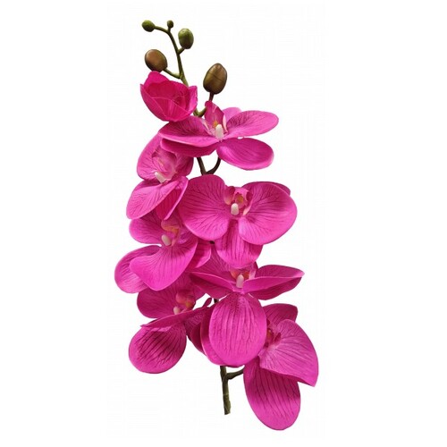 REAL TOUCH PHALAENOPSIS ORCHID S3829-HTPNK