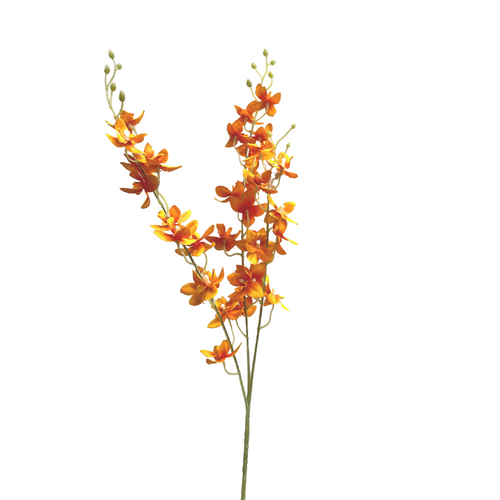 Dendrobium Orchid S3831ORG