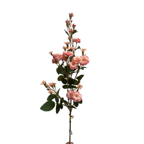 Forget Me Nots S3858PK