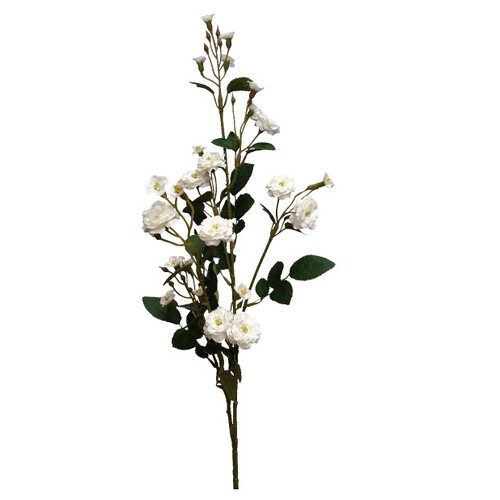 Forget Me Nots S3858WHT
