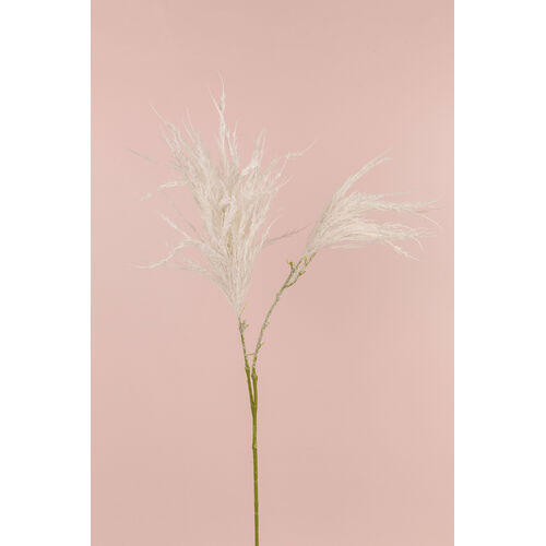 Pampas Seed Spray S3878-WH