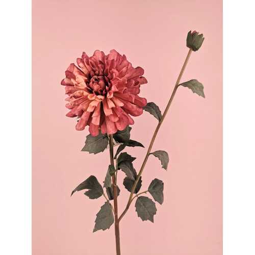 Dahlia S3963MVE