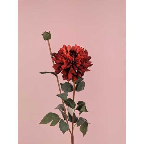 Dahlia S3963BURG