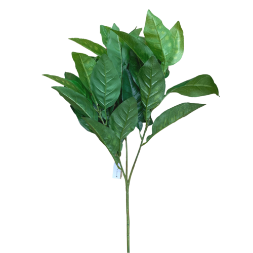 Pomelo Leaf S3998GRN