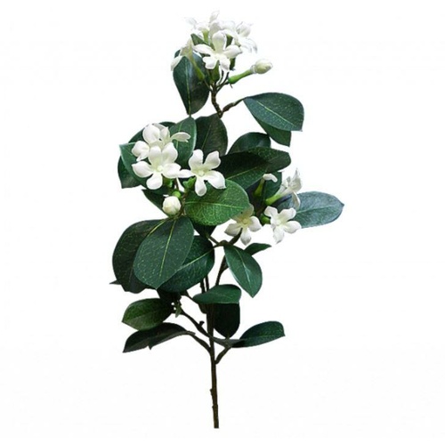 Stephanotis Spray S400