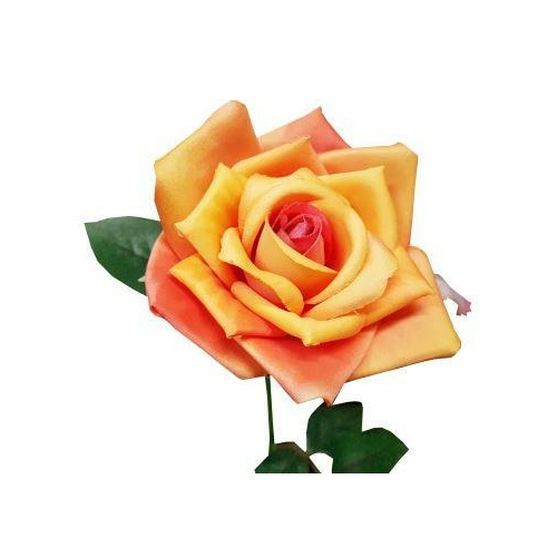 Single Royal Rose S537-OR