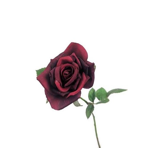 Single Royal Rose S537_RED