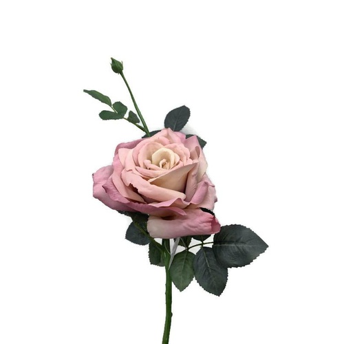 Large Open Rose S5714-ANTPNK