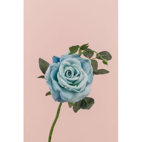 Large Open Rose S5714-BBLU