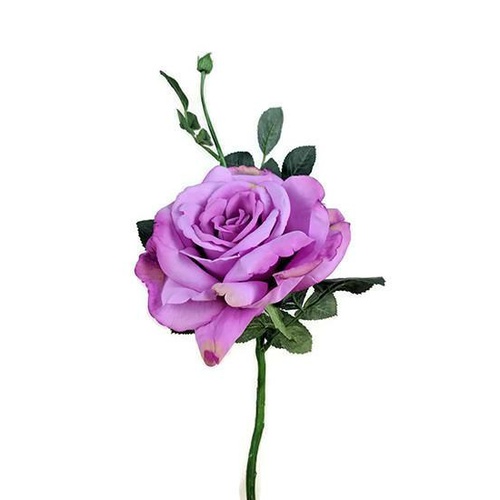 Large Open Rose S5714-FUCH