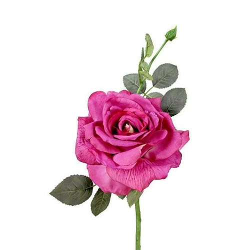 Large Open Rose S5714-MAG