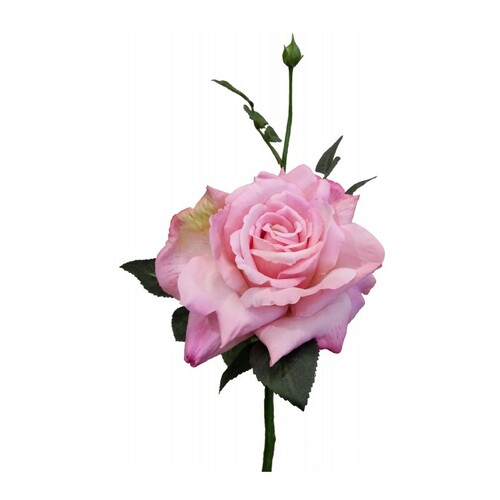 Large Open Rose S5714-NPNK