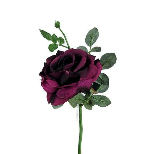 Large Open Rose S5714-PLM