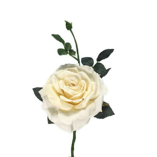 Large Open Rose S5714-VAN