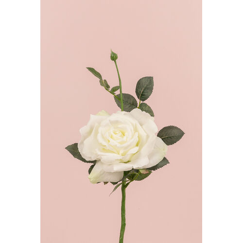 Large Open Rose S5714_WH