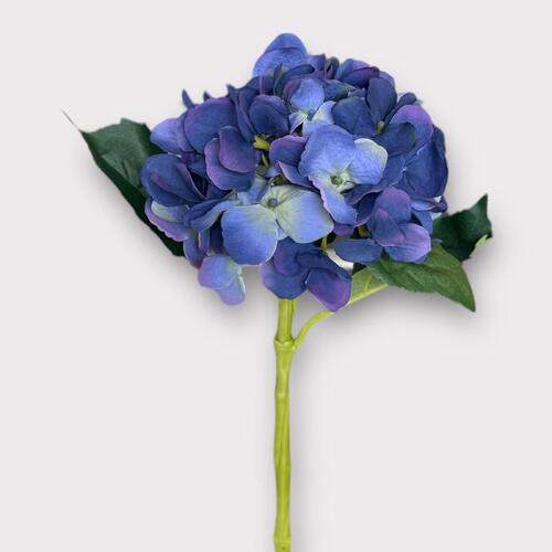 Single Hydrangea S5759-BL