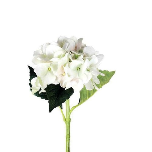 Single Hydrangea S5759-CRPNK