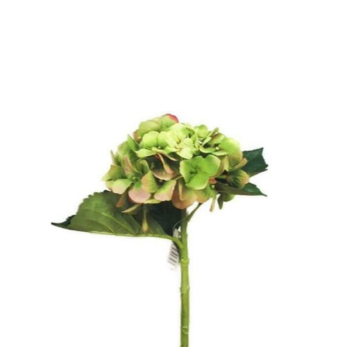 Single Hydrangea S5759-GR