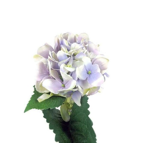Single Hydrangea S5759-LAV