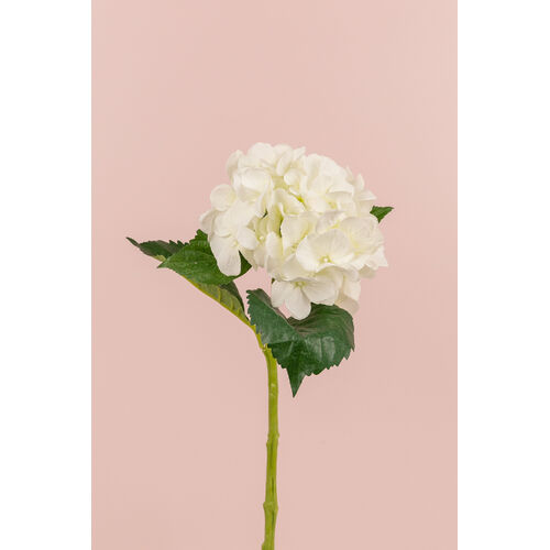 Single Hydrangea S5759-WH