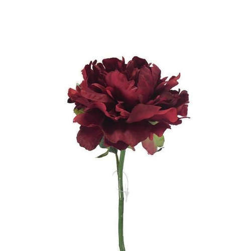 Open Peony S5761-BUR