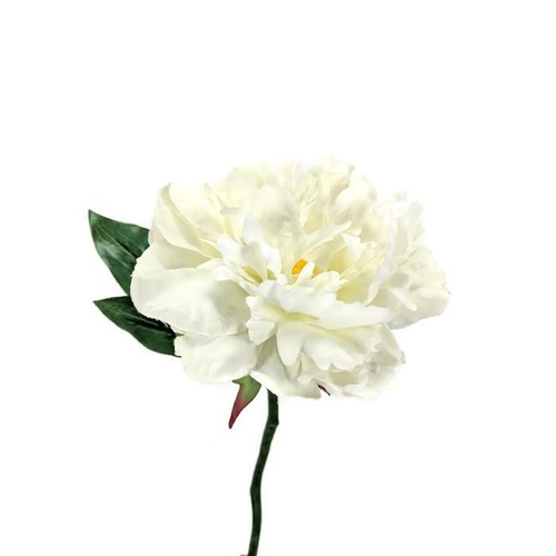 Open Peony S5761-CR