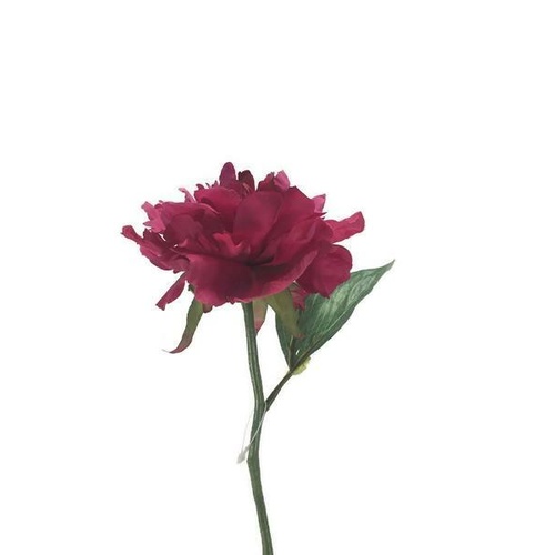 Single Open Peony S5761-WN