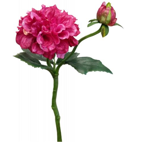Single Dahlia Spray S5782RAS