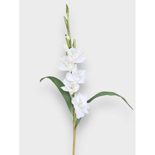 Gladioli S5793-WH