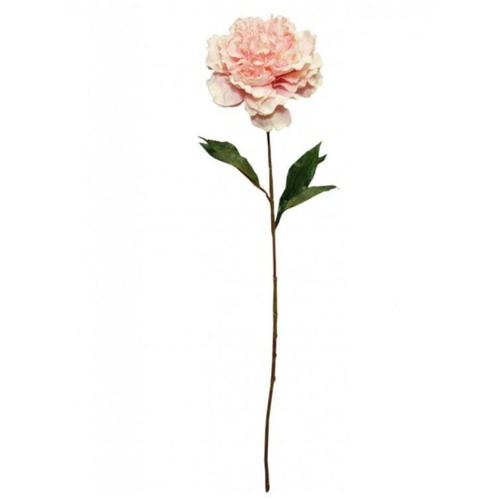 Large Open Peony S5806-LPNK