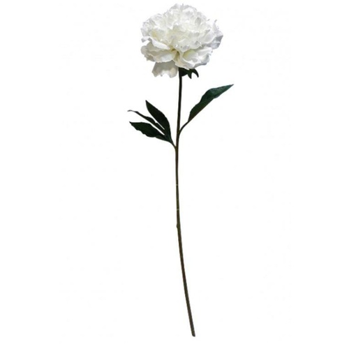 Large Open Peony S5806-WH