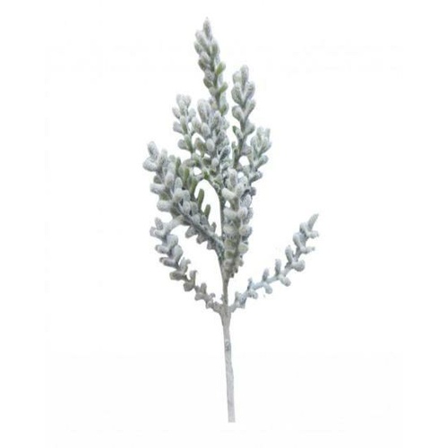 Grey Santolina Spray S5809