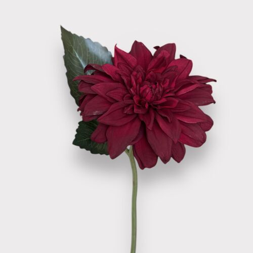 Single Dahlia S5819-RD