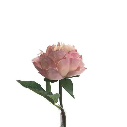 Single Peony Stem S5841-DUSPNK