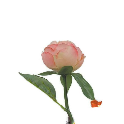 Single Peony Stem S5841-PCH