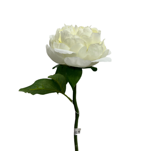 Single Peony Stem S5841-WHT