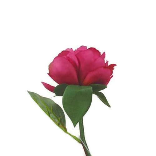 Single Peony Stem S5841-HPNK