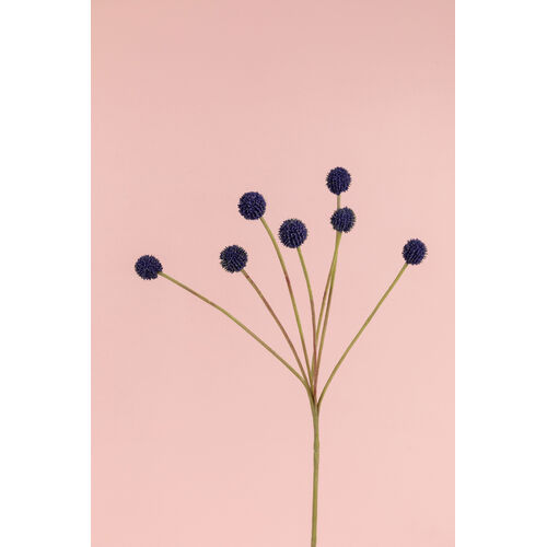 BILLY BUTTON S5856-BLU