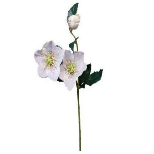 Hellebores Spray S5877-WH