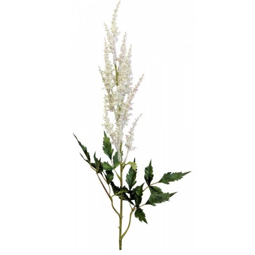 Astilbe Spray S5906-CRM