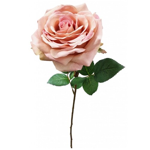 Silk Rose S5921DPNK