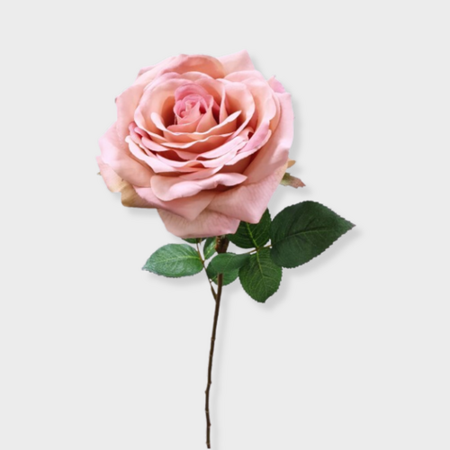 Silk Rose S5921DPNK