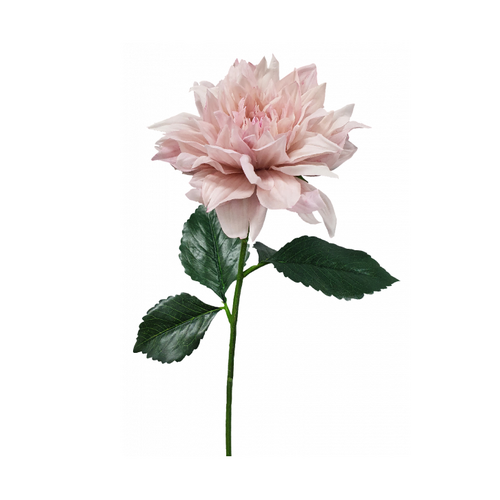 Dahlia S5923DP
