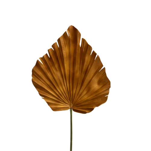 Palm Leaf S5924brn