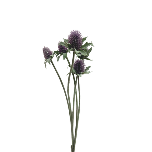 Thistle Spray S5931PUR