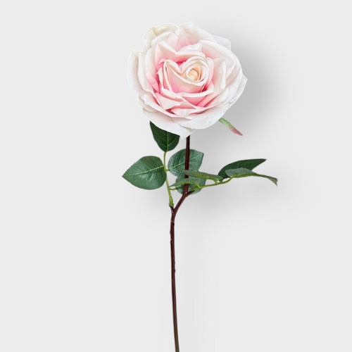 LETISYA ROSE S5939LTPNK