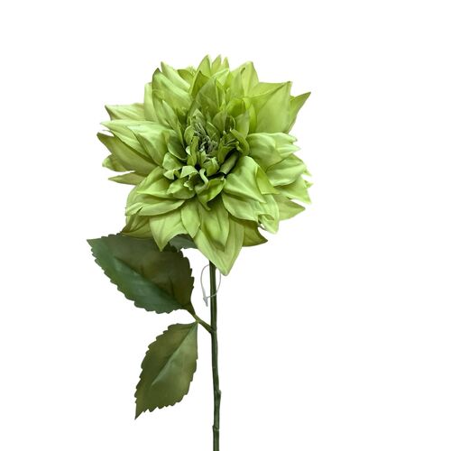 DAHLIA S5945GRN