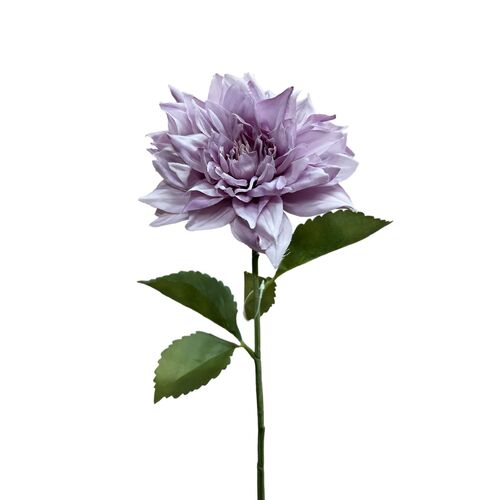 DAHLIA S5945LAV