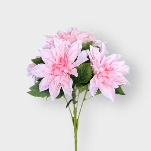 Dahlia S7592P